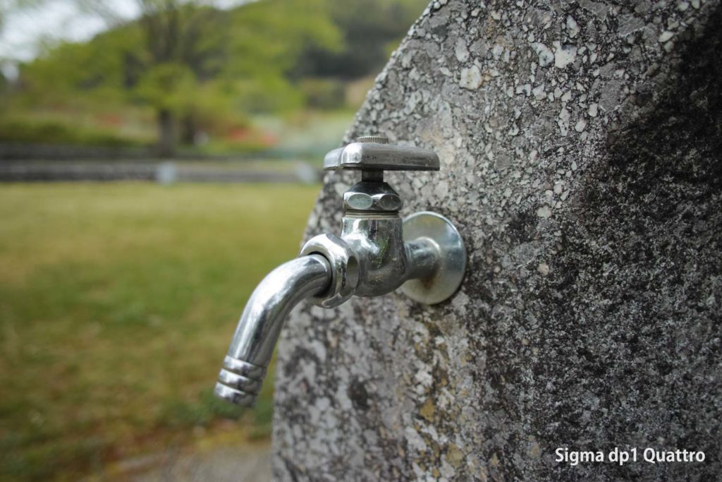 SIGMA dp1 Quattoro 水道