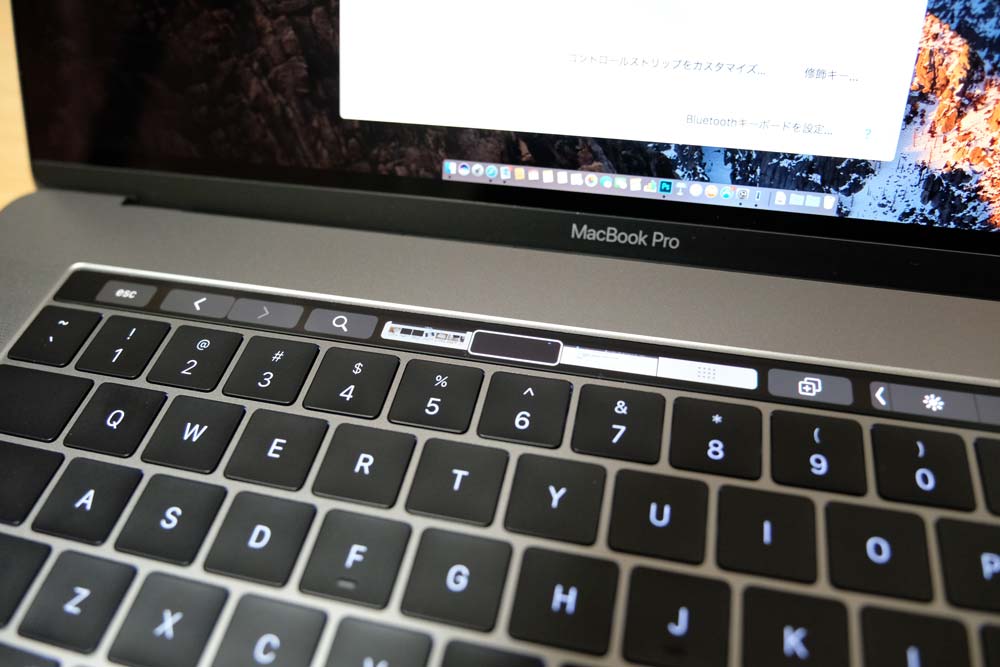 Touch Bar(Safari)