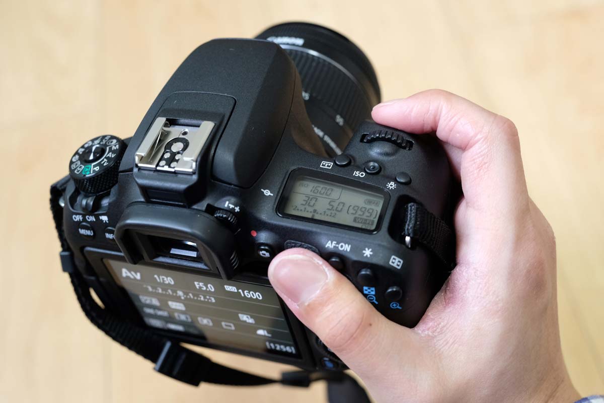 20170409031826j:plain EOS 9000Dを手で持つ