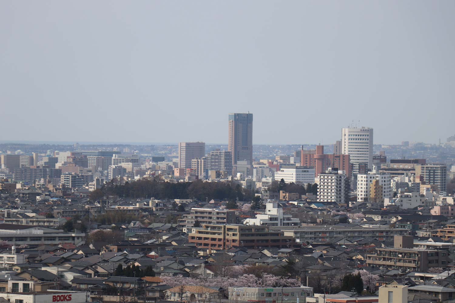 20170419131413j:plain 望遠ズーム 135㎜の画角