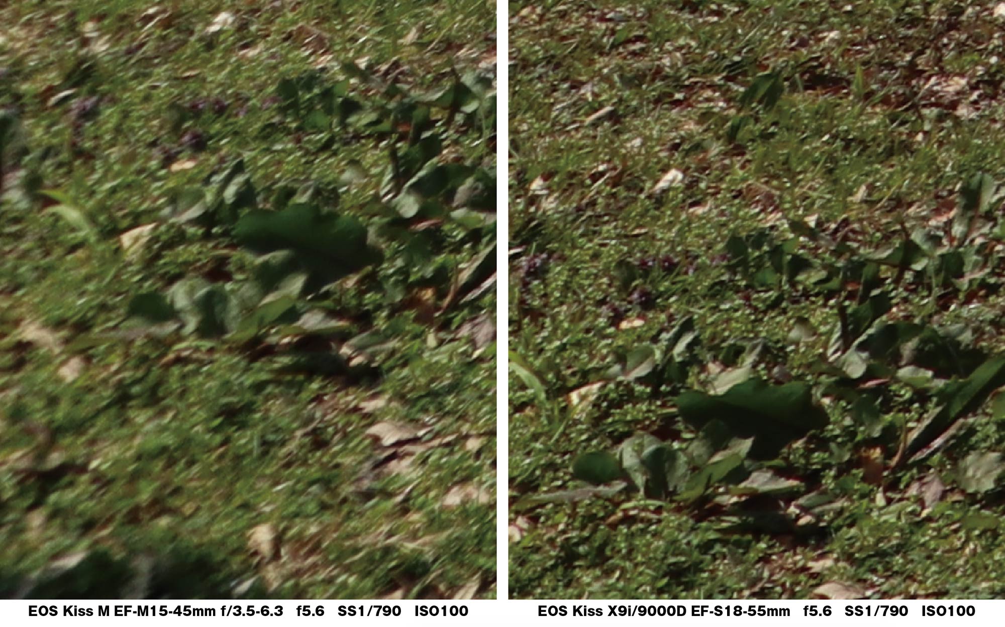 20180402111120j:plain