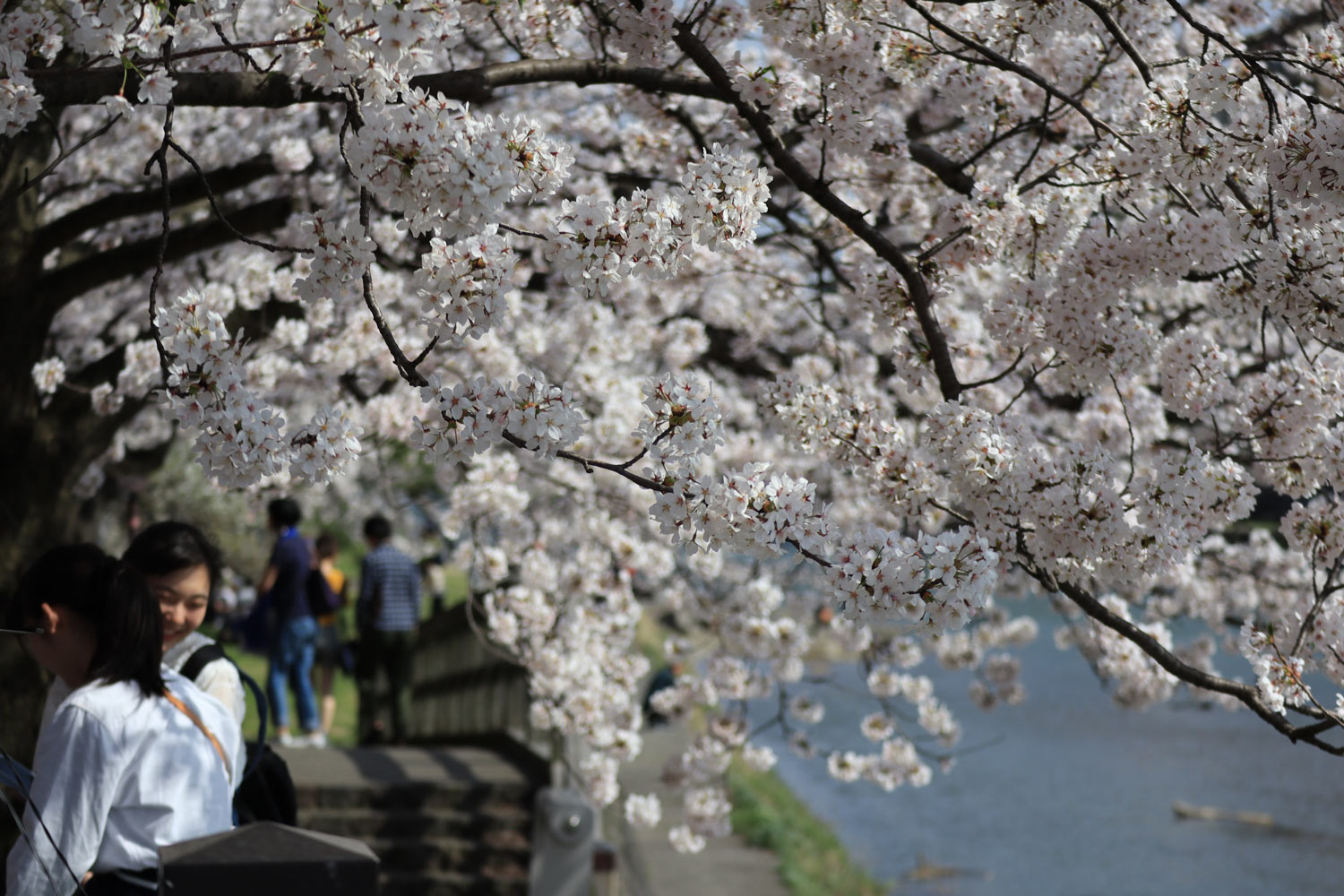 20180404124518j:plain