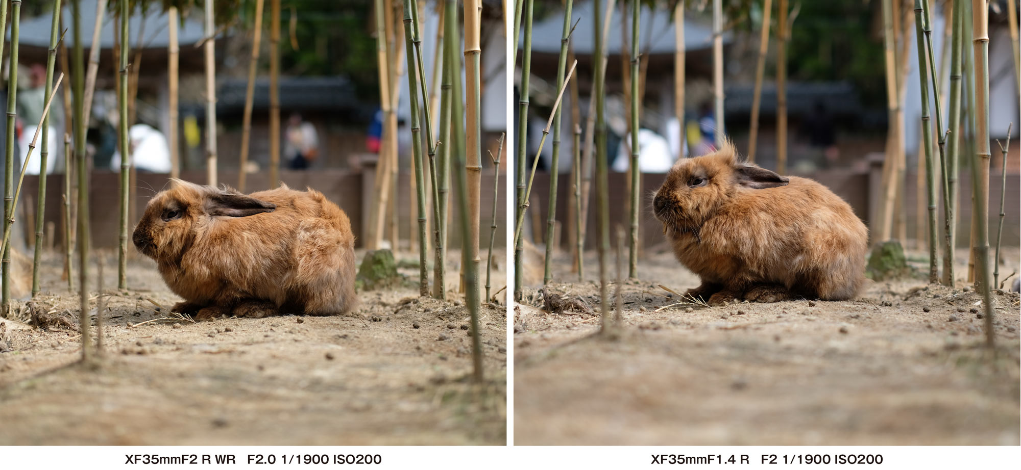 20180506180113j:plain XF35mmF2 vs XF35mmF1.4 作例3