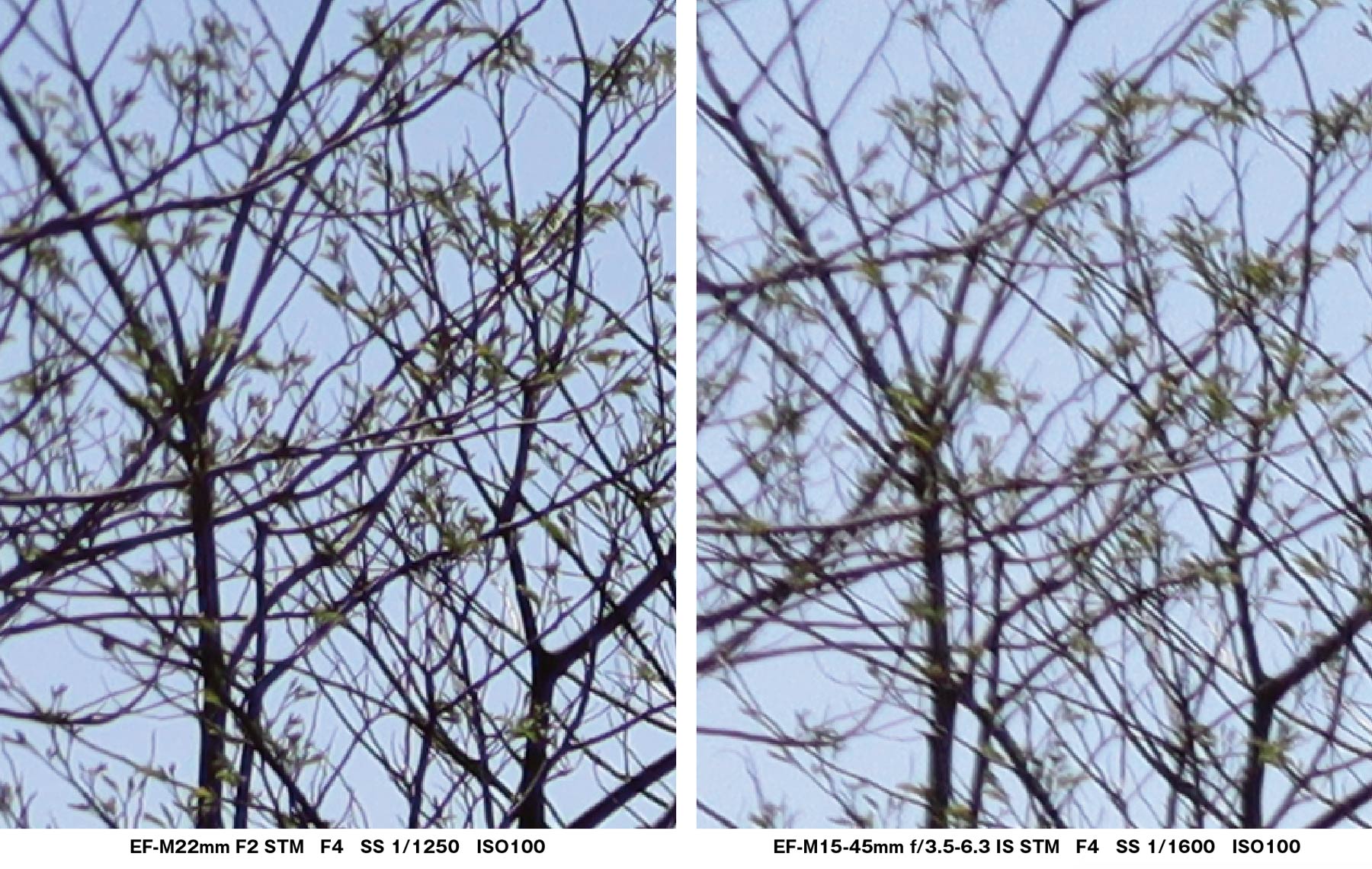 20180513120641j:plain