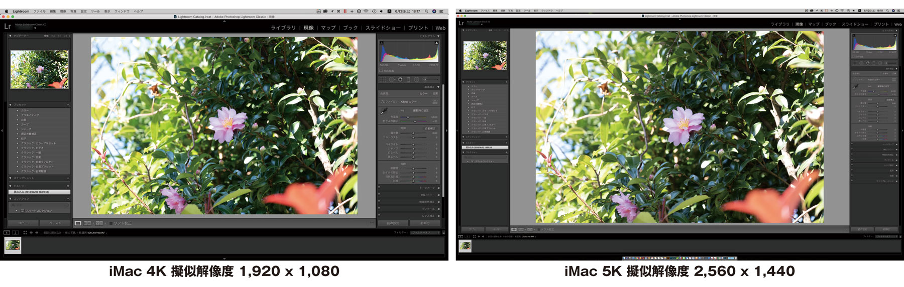 Lightroom CCの操作パネルの大きさ