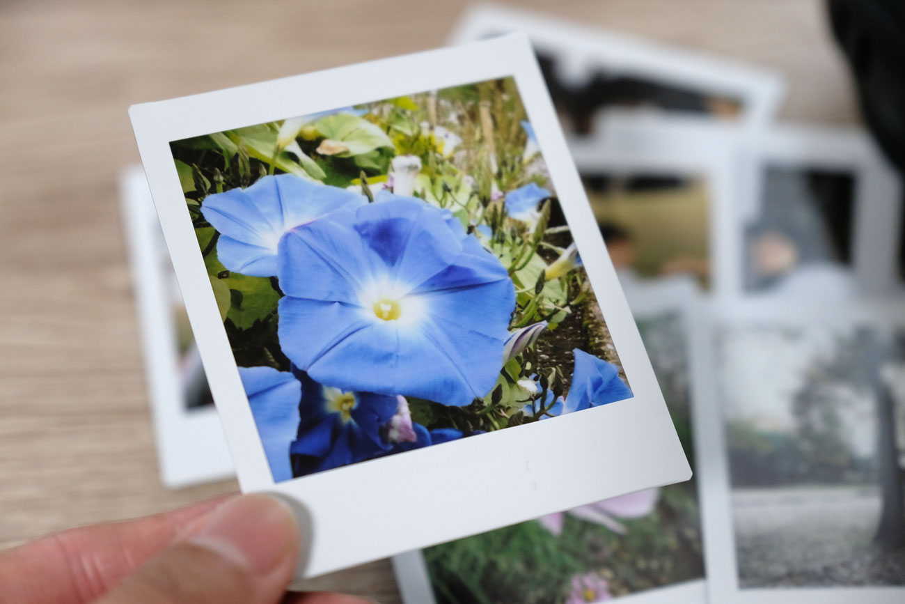 20181119124027j:plain instax SQ20 発色の良さ