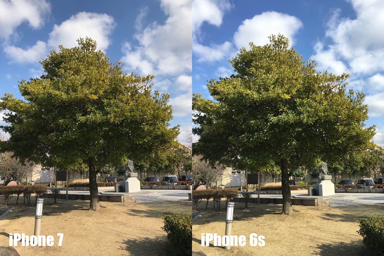 iPhone 7とiPhone 6s カメラの画質を比較(木と青空)