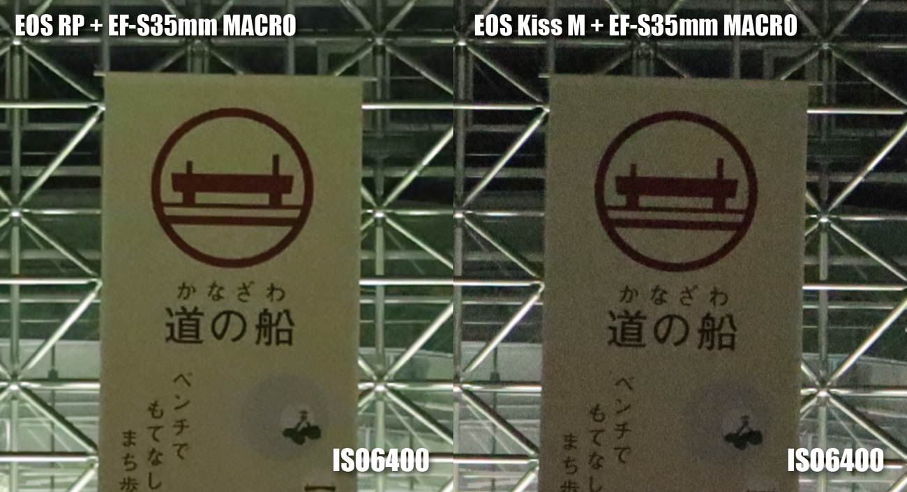 フルサイズとAPS-C ノイズの違い(ISO6400)