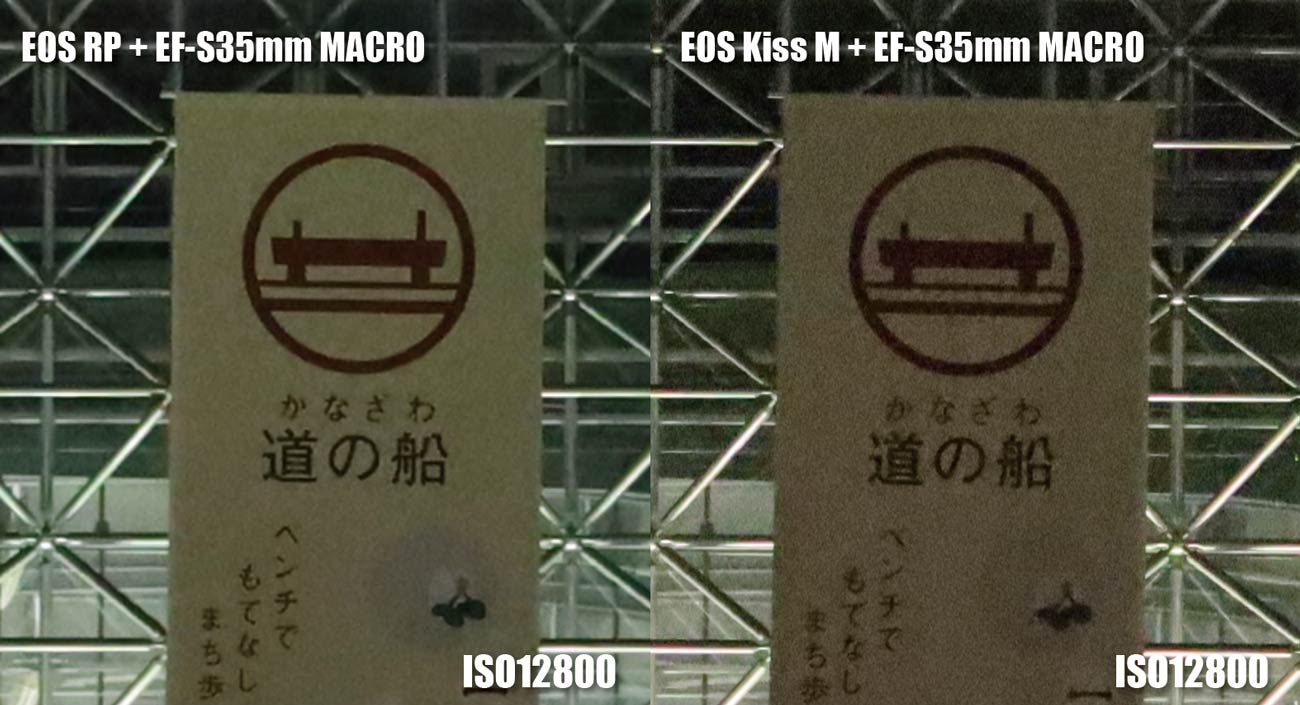 フルサイズとAPS-C ノイズの違い(ISO12800)