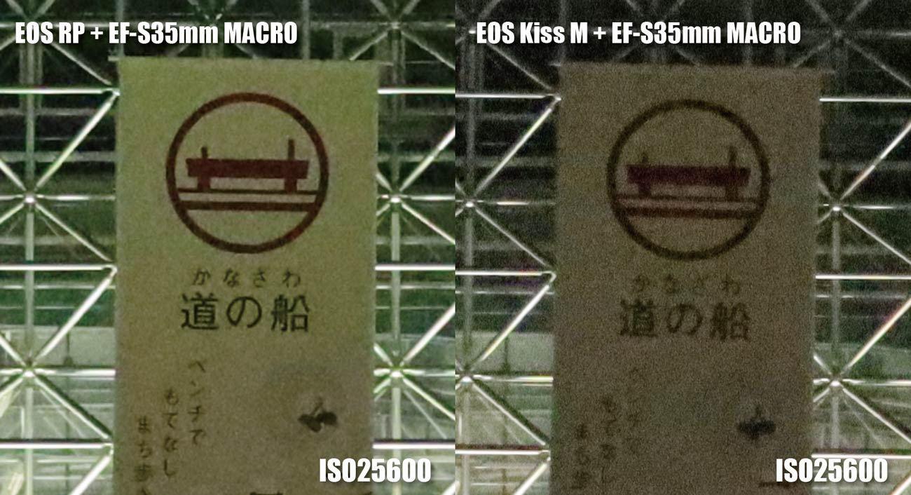 フルサイズとAPS-C ノイズの違い(ISO25600)