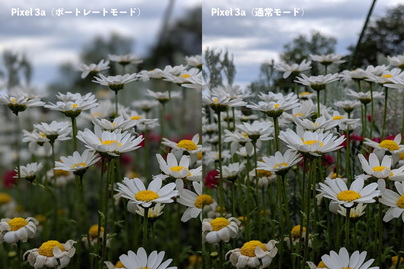 Pixel 3a ポートレートモード 苦手分野