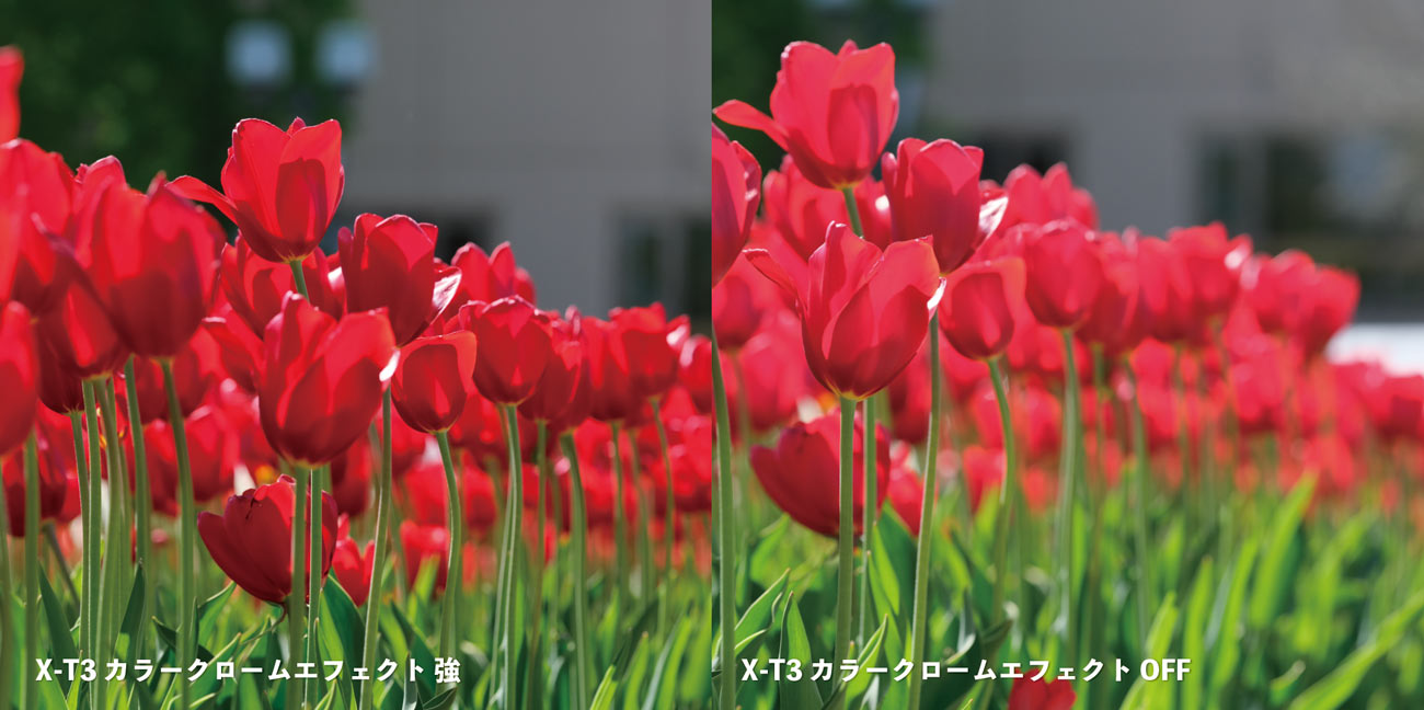 X-T3のカラークロームエフェクト