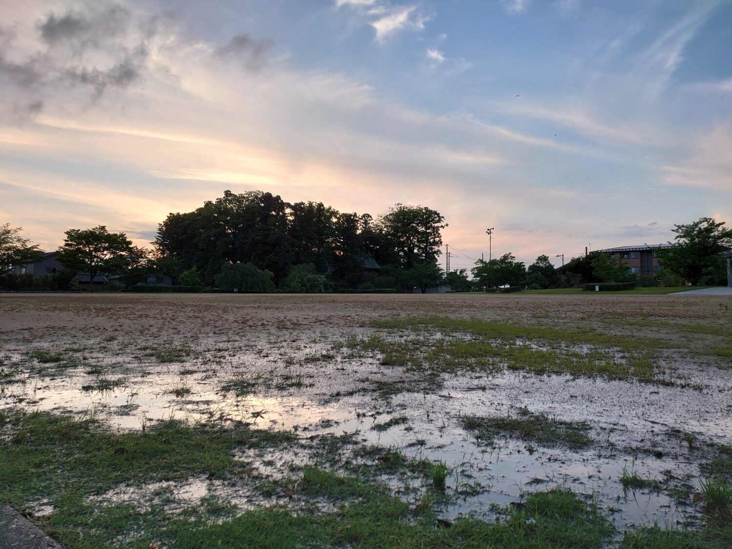 Xperia 1 リアカメラ(標準)画質2