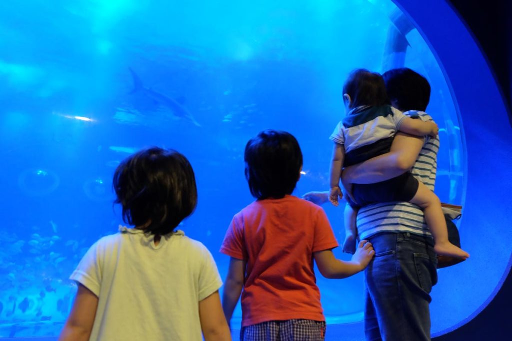 のとじま水族館