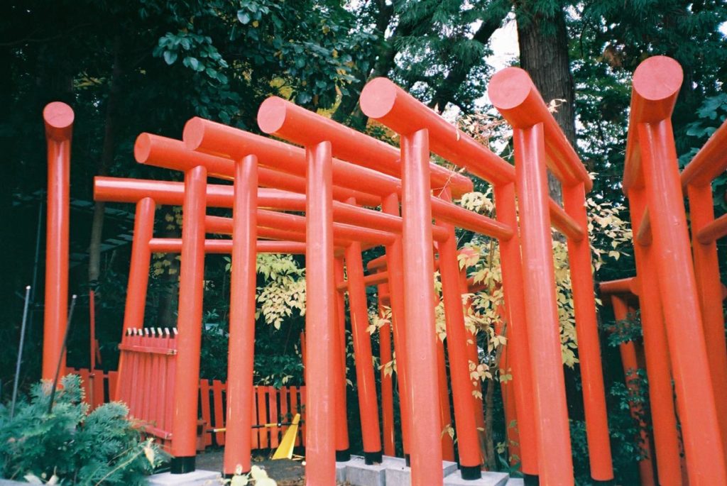 大量の鳥居