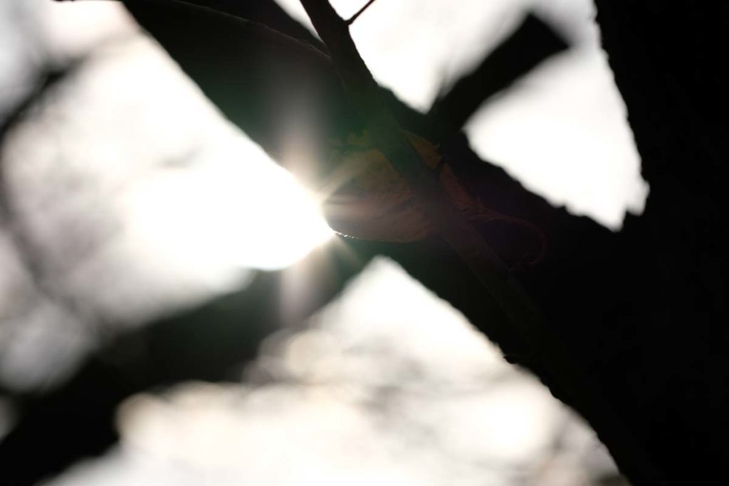 X-H1 + XF90mm(光と影)
