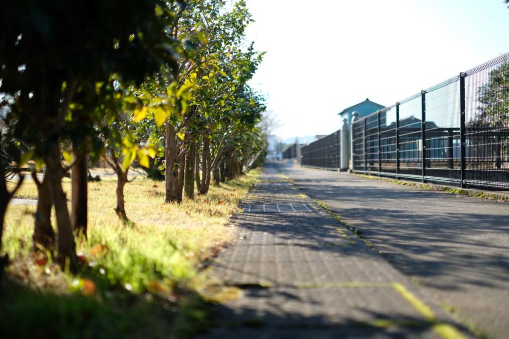 X-T2 + XF35mmF1.4 R(サイクリングロード)