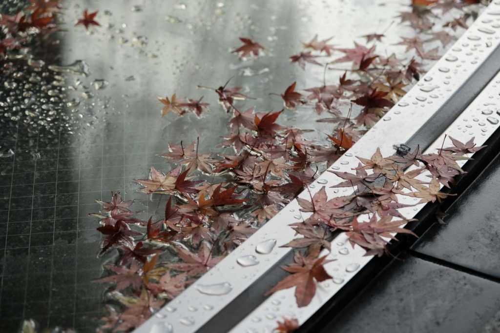 X-T3 + XF16-80mmF4(濡れた紅葉)