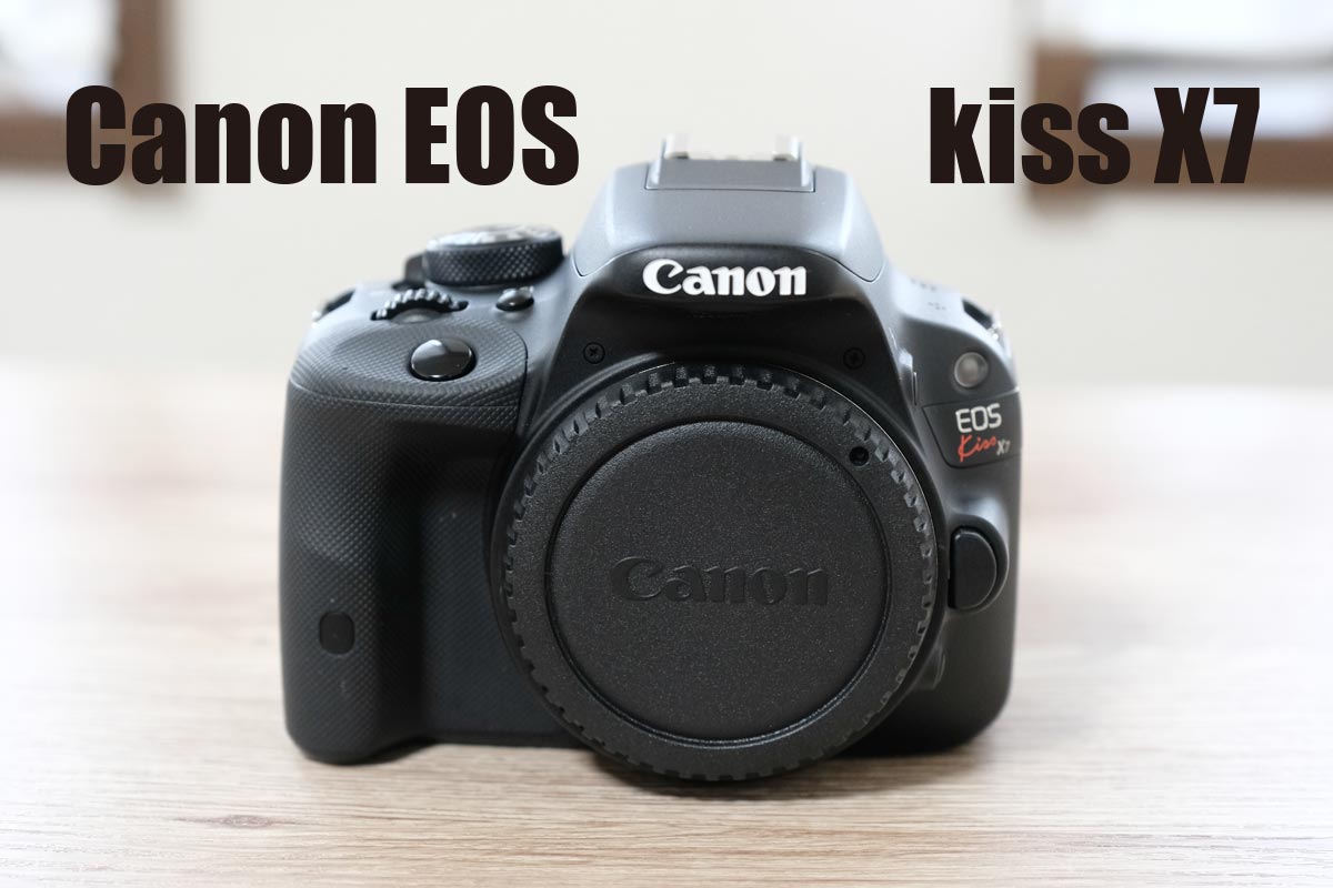 Canon EOS Kiss X7 レビュー！小型一眼レフの名機！魅力を褒めちぎる