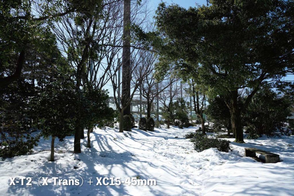 X-T2(X-Trans)+ XC15-45mm 公園の雪
