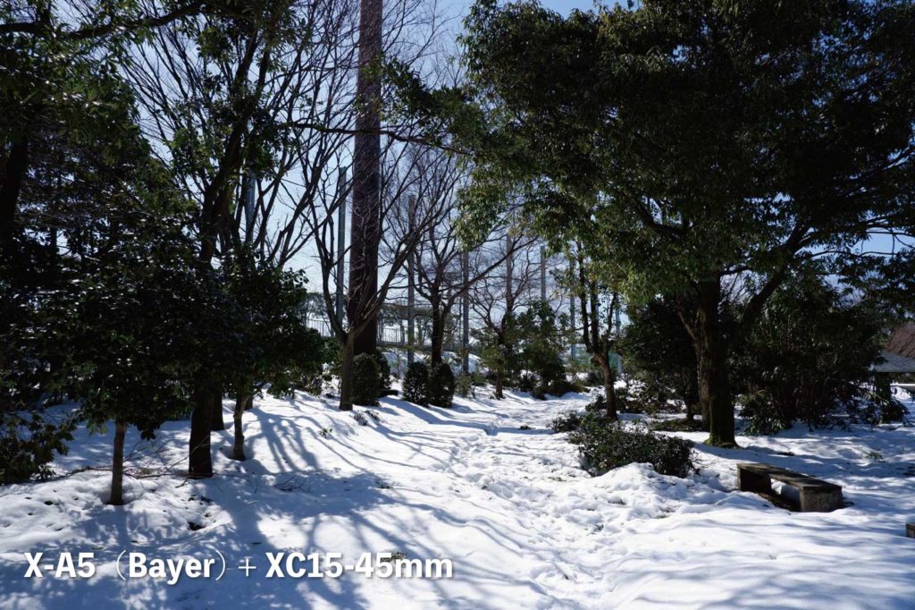 X-A5(ベイヤー)+ XC15-45mm 公園の雪