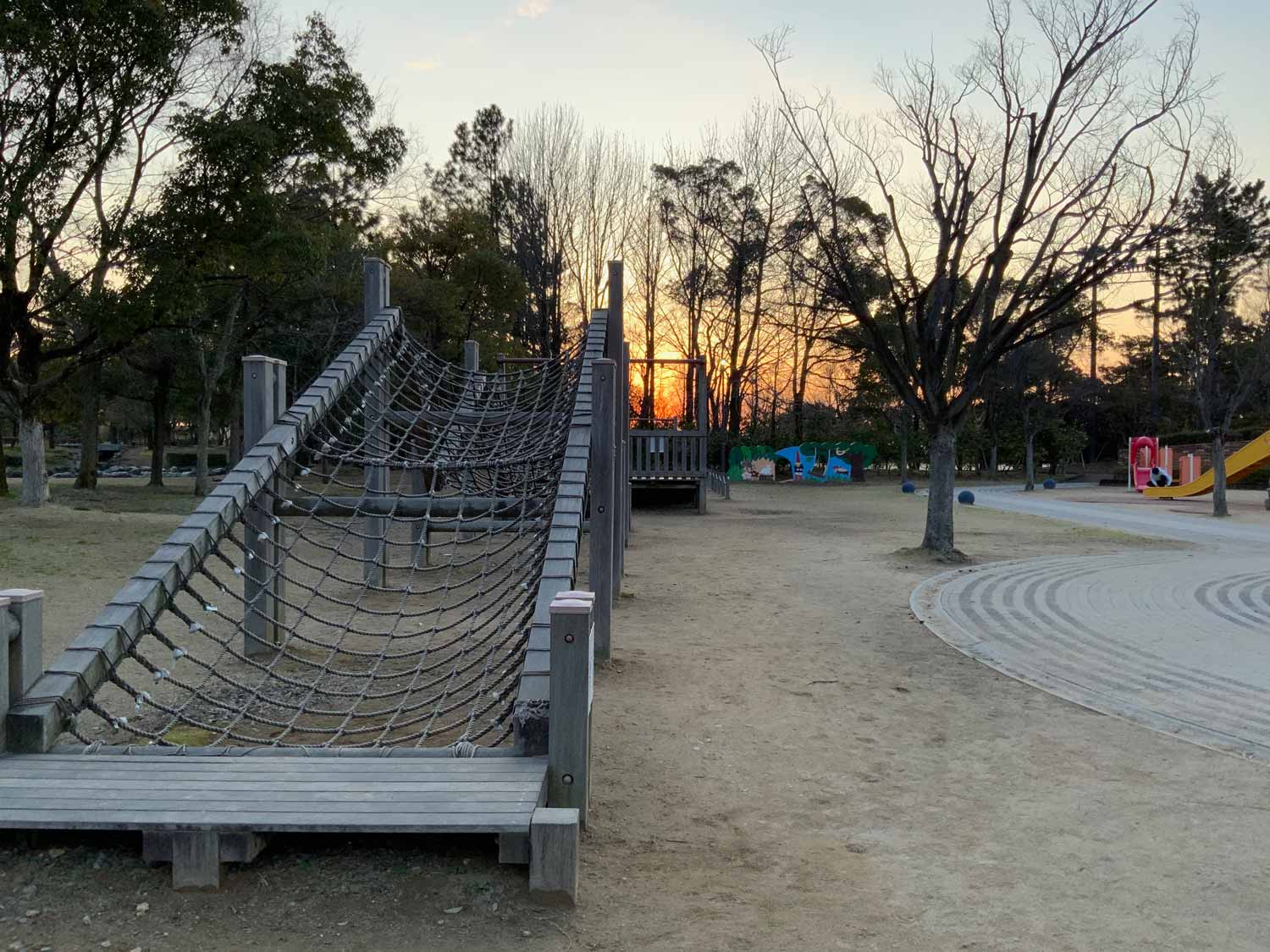 iPad Pro 11インチ（第2世代）広角カメラで公園を撮影