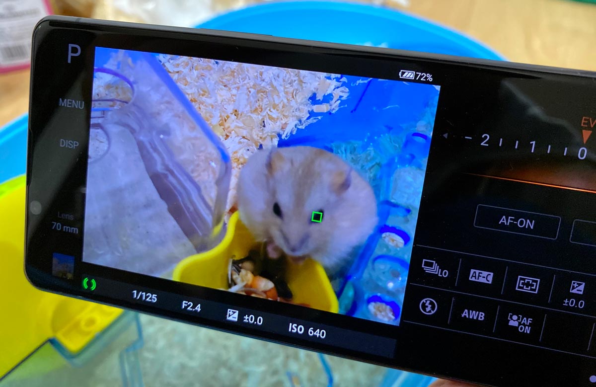 Xperia 1 IIは動物の瞳AFに対応