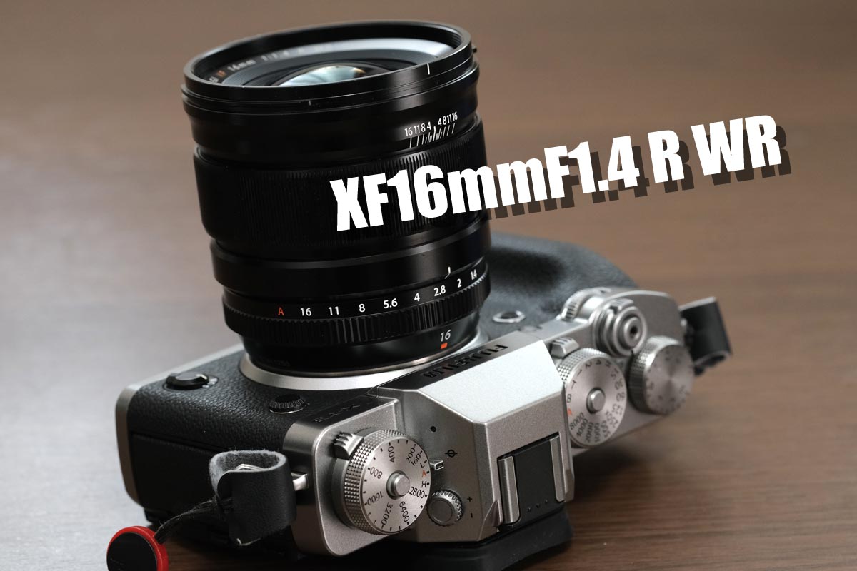 XF16mm F1.4 R WR レビュー！接写で豊かなぼけを表現できる広角単焦点