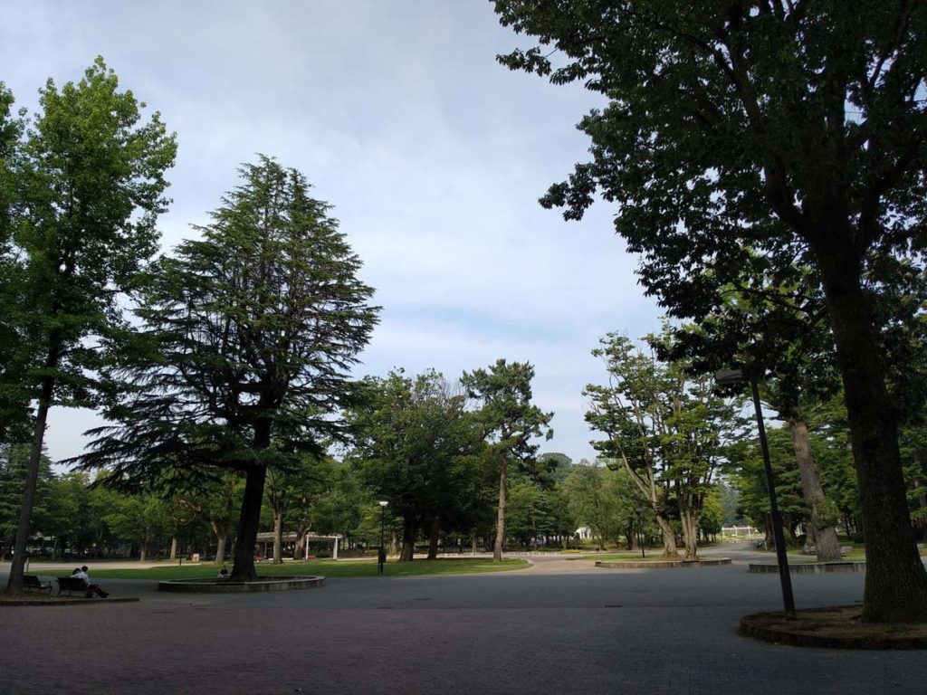arrows Be4のカメラで公園を撮影