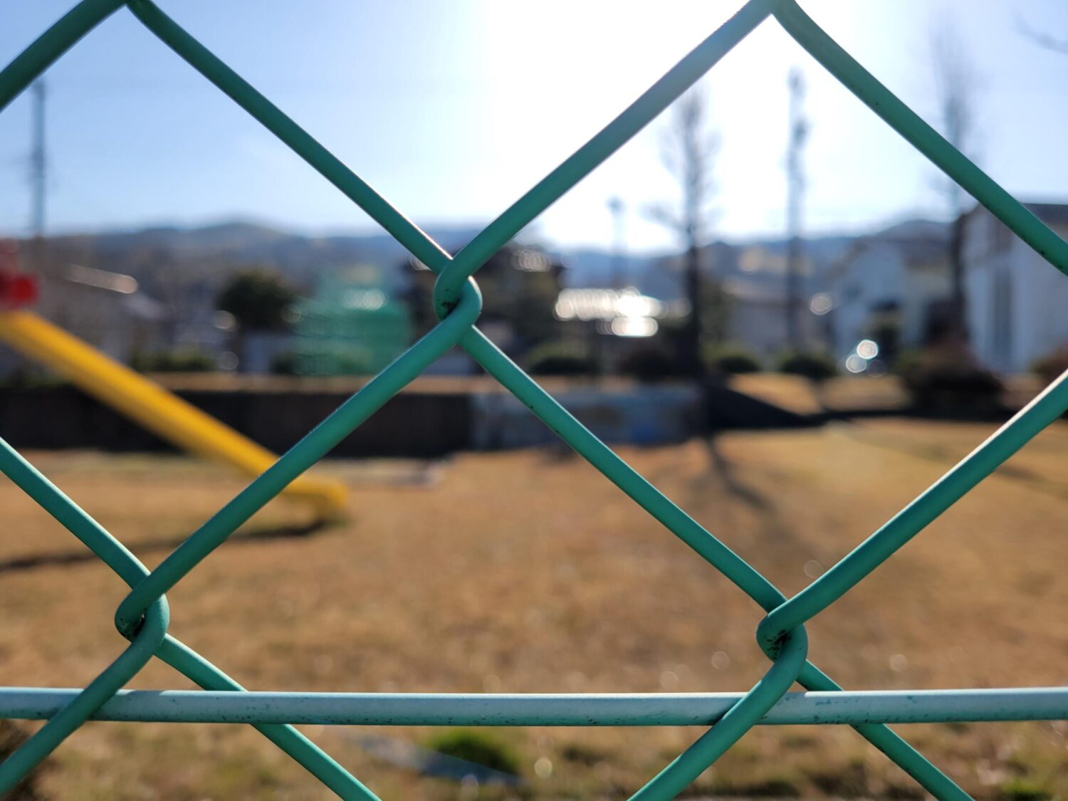 Galaxy S21 広角(×1)で撮影