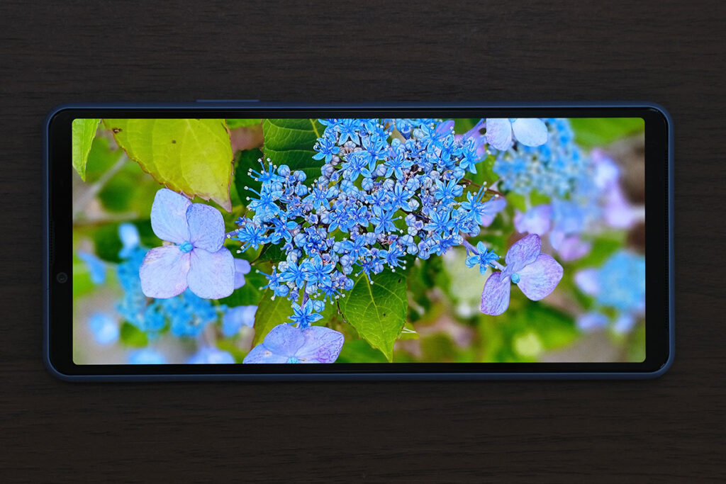 Xperia 10 III ディスプレイの色