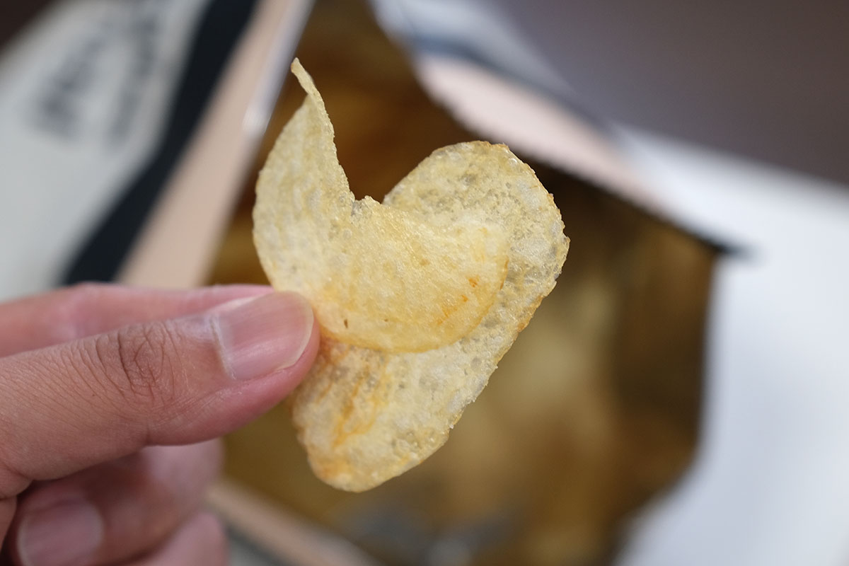 Google Original Chips 2コア