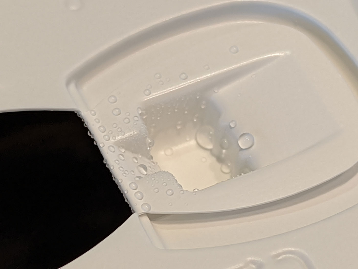 Pixel 6 デジタルズームで撮影