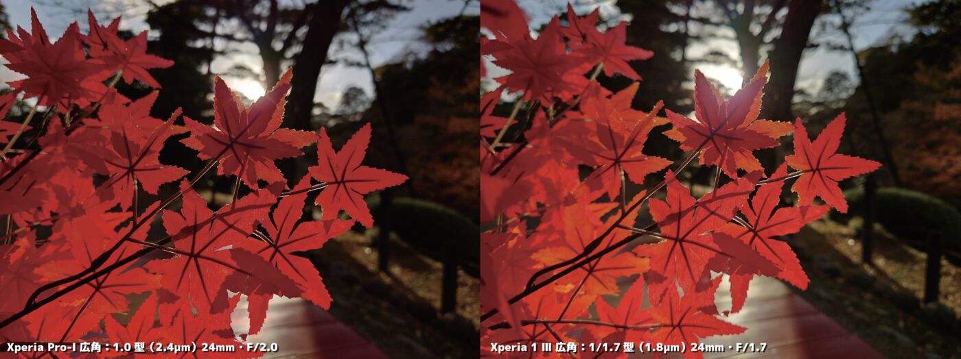 Xperia PRO-IとXperia 1 Ⅲ 広角カメラの比較 3