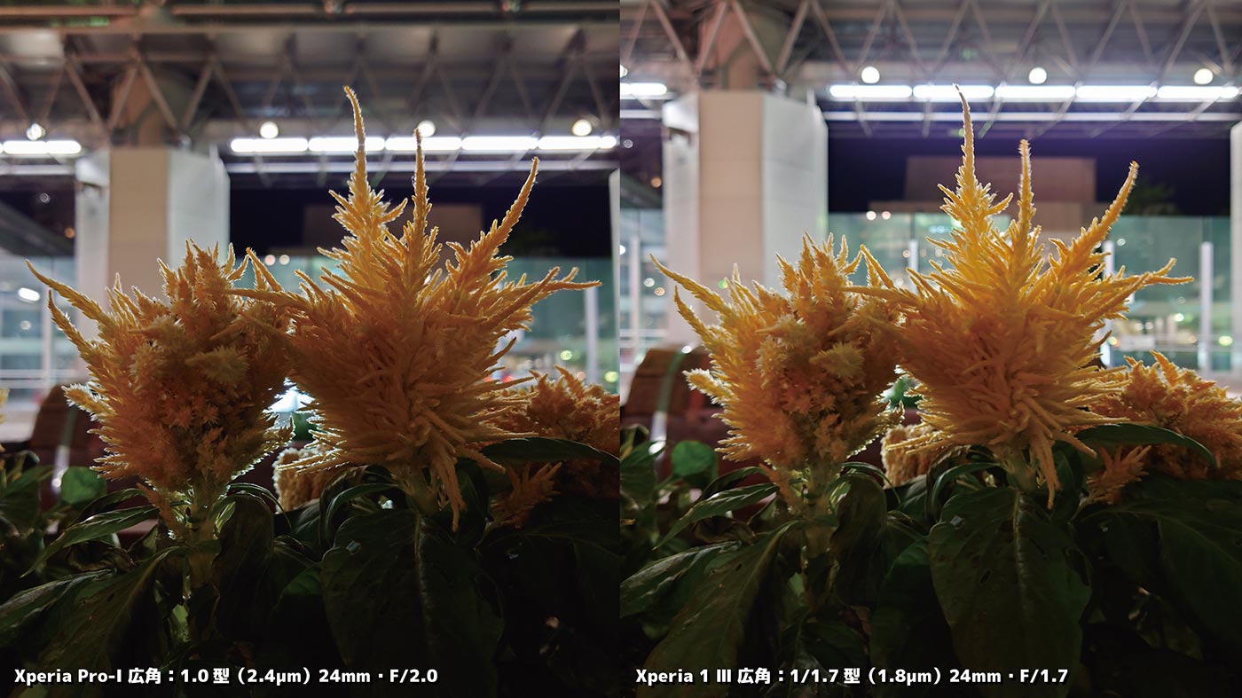 Xperia PRO-IとXperia 1 Ⅲ 広角カメラの比較 6