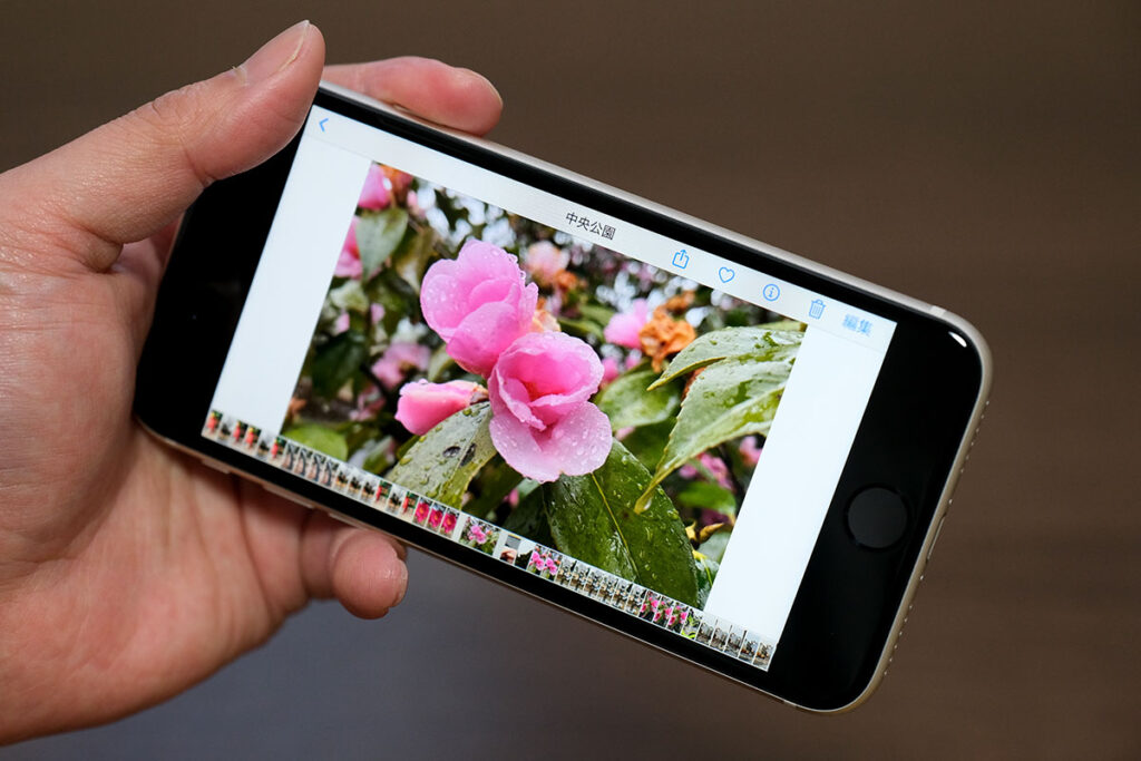 iPhone SE(第3世代)ディスプレイ