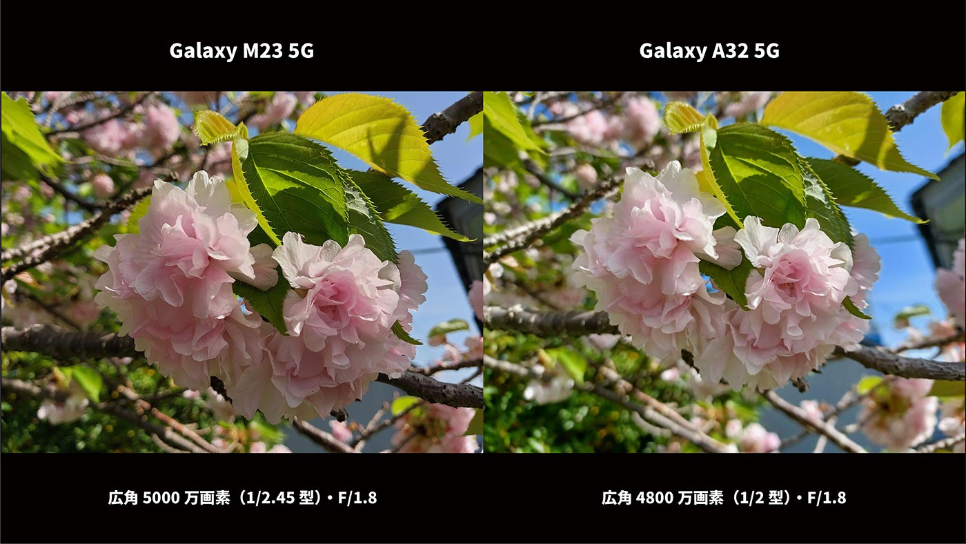 Galaxy M23・A32 広角カメラ画質比較(八重桜)