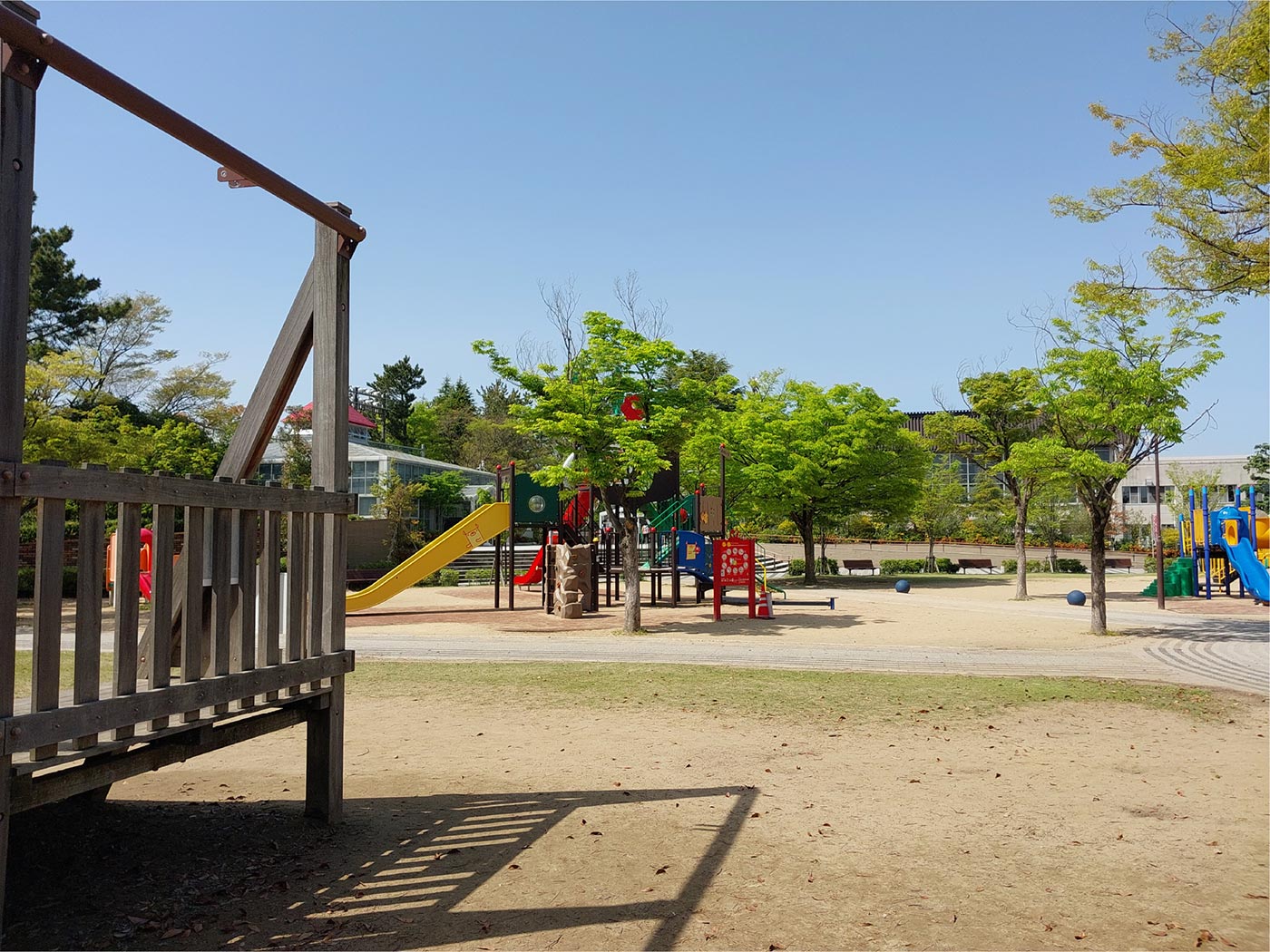 Galaxy M23 広角カメラで公園を撮影