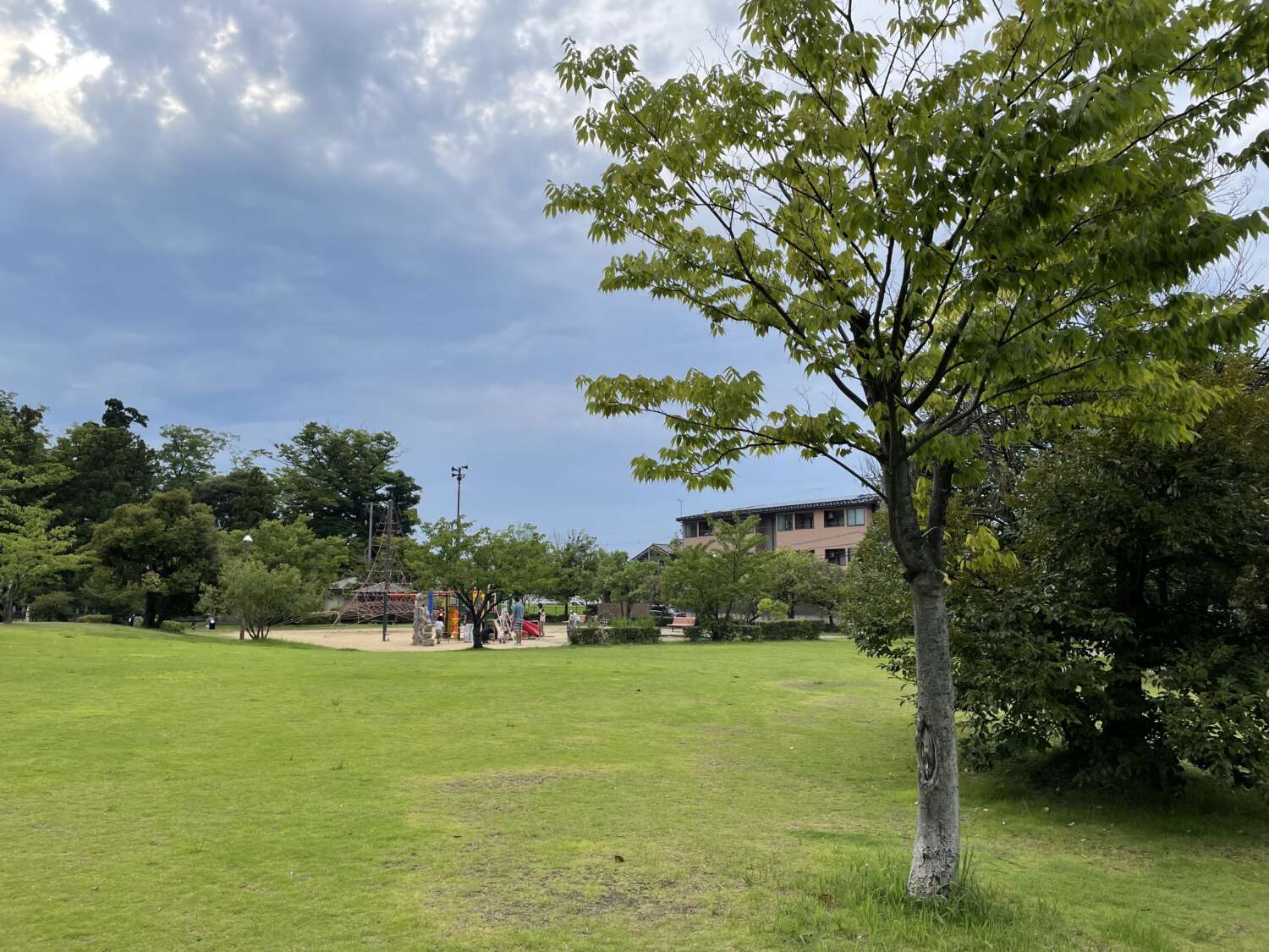 iPhone 12 Pro 広角カメラで公園を撮影