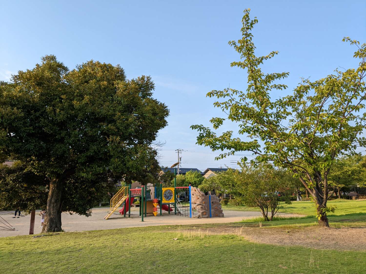 Pixel 6a 広角カメラで公園を撮影