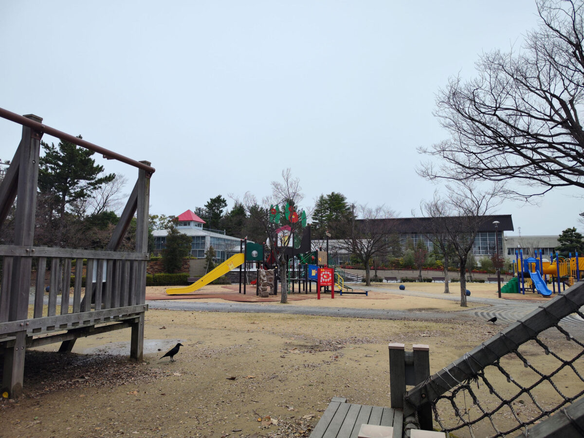 Xiaomi 12T Pro 広角カメラで公園を撮影
