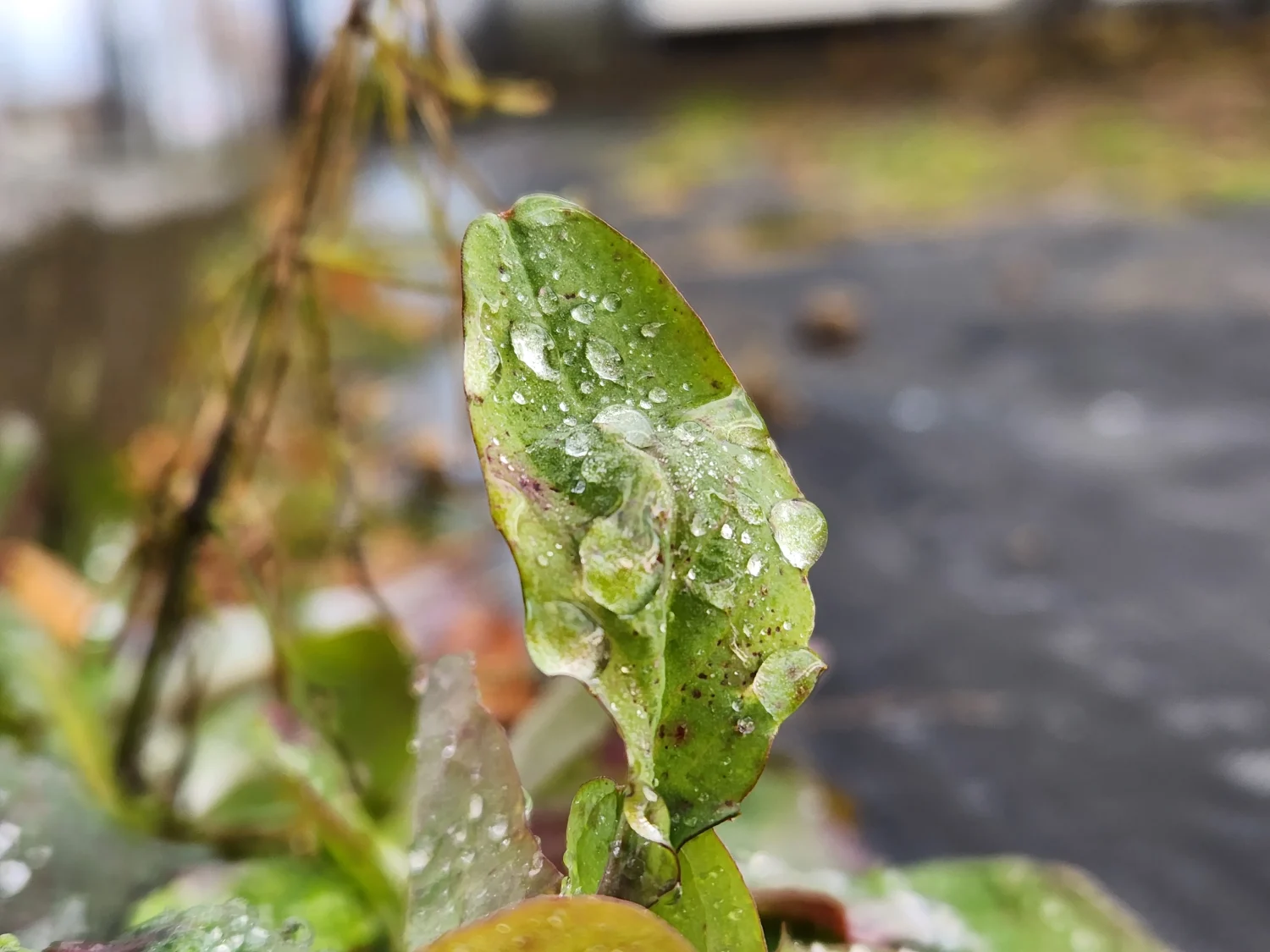 GalaxyS22-20230106_085838