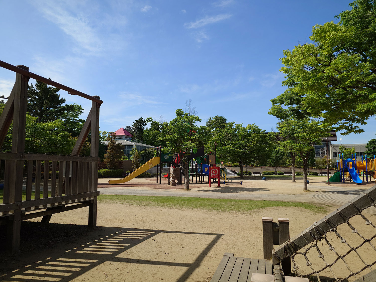 Xperia 1 V 広角カメラ 公園を撮影