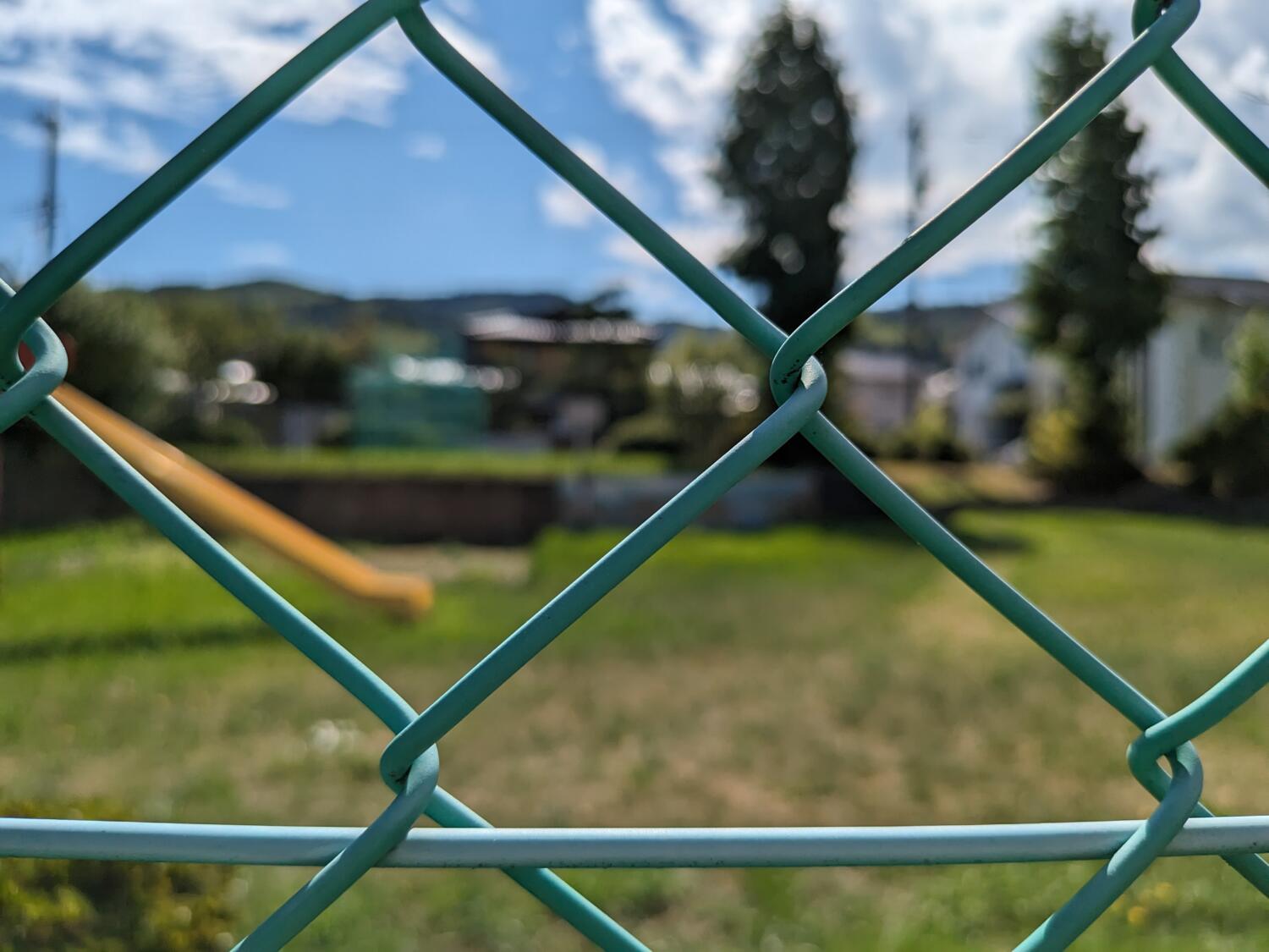 Pixel Fold 広角カメラで公園を撮影