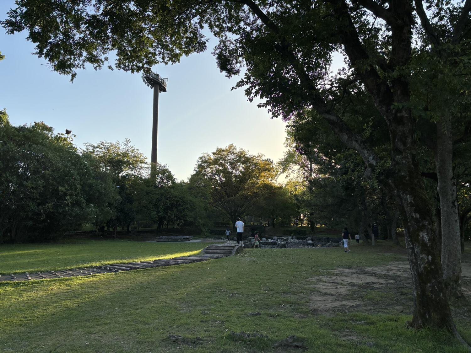 iPhone 15で公園の芝生を撮影