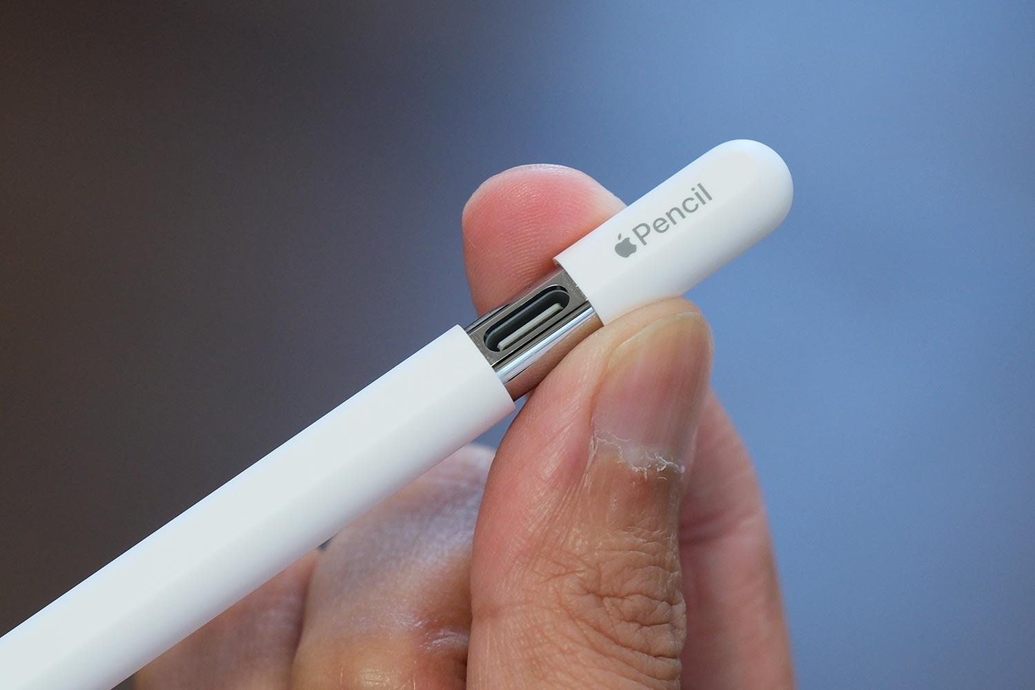 Apple Pencil(USB-C)