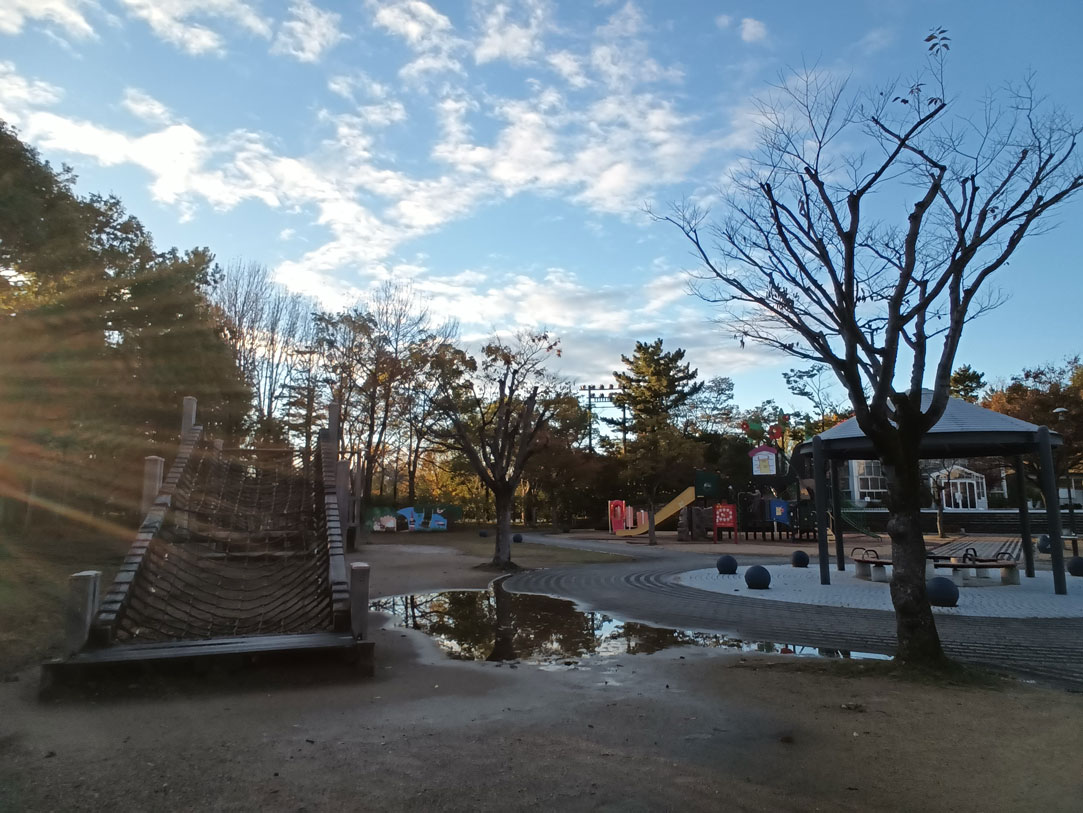 Fire HD 10 公園を撮影