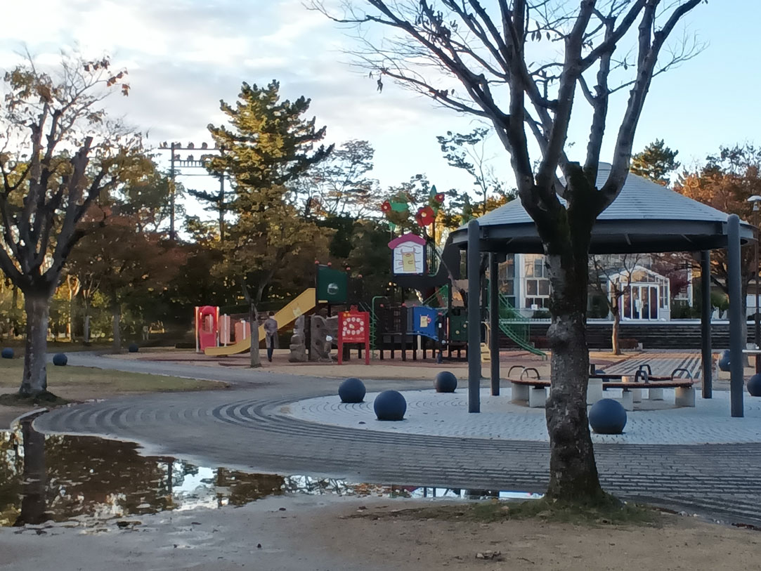 Fire HD 10 広角2倍ズーム 公園を撮影