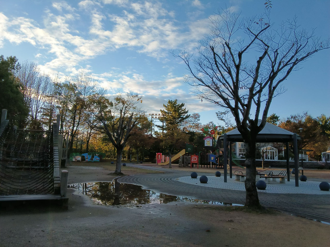 Fire Max 11 公園を撮影