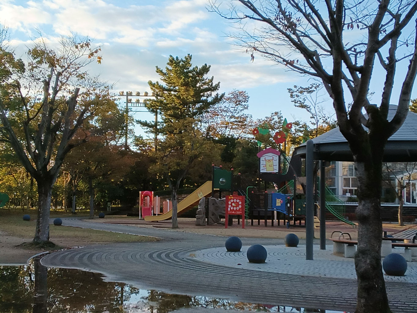 Fire Max 11 広角2倍ズーム 公園を撮影